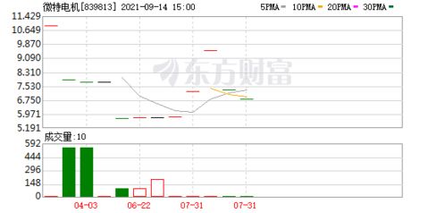 微光股份 公司目前生产的电机很多属于微特电机